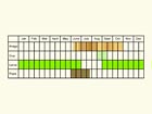  Life stages table Copyright Martin Evans 