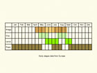  Life stages table Copyright Martin Evans 