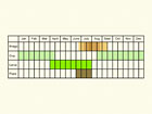  Life stages table Copyright Martin Evans 