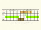  Life stages table Copyright Martin Evans 