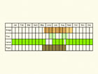  Life stages table Copyright Martin Evans 