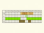  Life stages table Copyright Martin Evans 