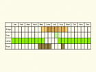  Life stages table Copyright Martin Evans 