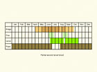  Life stages table Copyright Martin Evans 