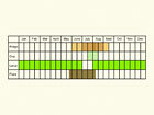  Life stages table Copyright Martin Evans 
