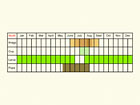  Life stages table Copyright Martin Evans 