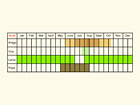  Life stages table Copyright Martin Evans 