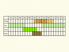  Life stages table Copyright Martin Evans 