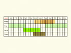  Life stages table Copyright Martin Evans 