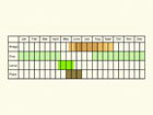  Life stages table Copyright Martin Evans 