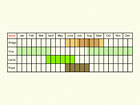  Life stages table Copyright Martin Evans 