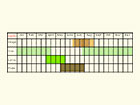  Life stages table Copyright Martin Evans 