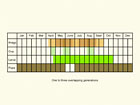  Life stages table Copyright Martin Evans 