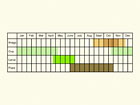  Life stages table Copyright Martin Evans 