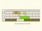  Life stages table Copyright Martin Evans 