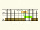  Life stages table Copyright Martin Evans 