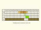  Life stages table Copyright Martin Evans 