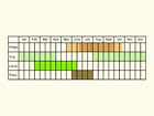  Life stages table Copyright Martin Evans 