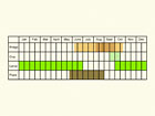  Life stages table Copyright Martin Evans 