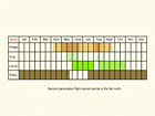  Life stages table Copyright Martin Evans 