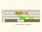  Life stages table Copyright Martin Evans 