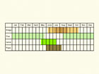  Life stages table Copyright Martin Evans 