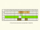  Life stages table Copyright Martin Evans 