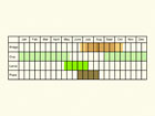  Life stages table Copyright Martin Evans 