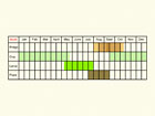 Life stages table Copyright Martin Evans 