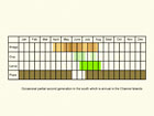  Life stages table Copyright Martin Evans 