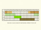  Life stages table Copyright Martin Evans 