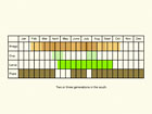  Life stages table Copyright Martin Evans 