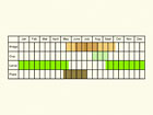  Life stages table Copyright Martin Evans 
