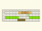  Life stages table Copyright Martin Evans 