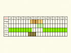  Life stages table Copyright Martin Evans 