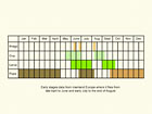 Life stages table Copyright Martin Evans 