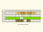  Life stages table Copyright Martin Evans 
