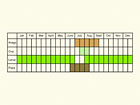  Life stages table Copyright Martin Evans 