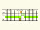  Life stages table Copyright Martin Evans 