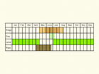  Life stages table Copyright Martin Evans 