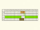  Life stages table Copyright Martin Evans 