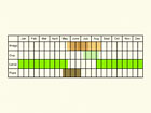  Life stages table Copyright Martin Evans 