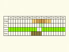  Life stages table Copyright Martin Evans 