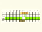  Life stages table Copyright Martin Evans 