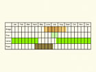  Life stages table Copyright Martin Evans 