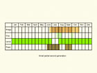  Life stages table Copyright Martin Evans 