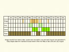  Life stages table Copyright Martin Evans 