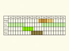  Life stages table Copyright Martin Evans 