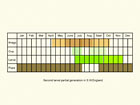  Life stages table Copyright Martin Evans 