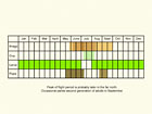  Life stages table Copyright Martin Evans 